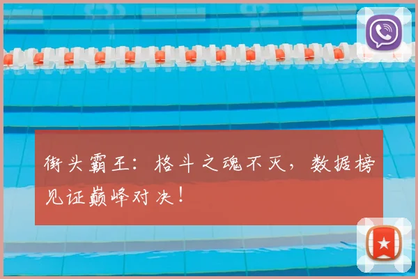 街头霸王:格斗之魂不灭,数据榜见证巅峰对决!
