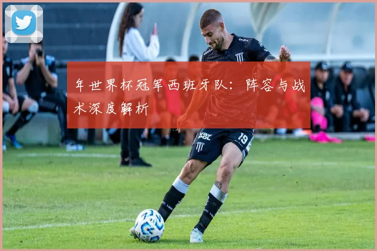 年世界杯冠军西班牙队：阵容与战术深度解析