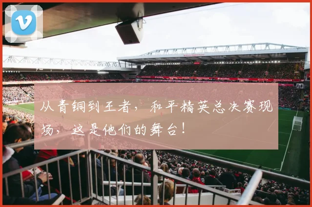 从青铜到王者，和平精英总决赛现场，这是他们的舞台！
